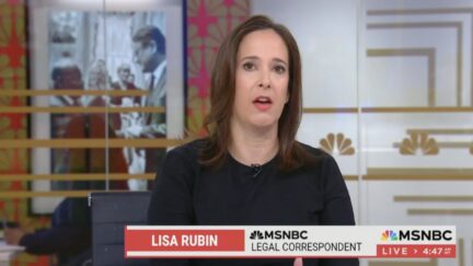 Lisa Rubin